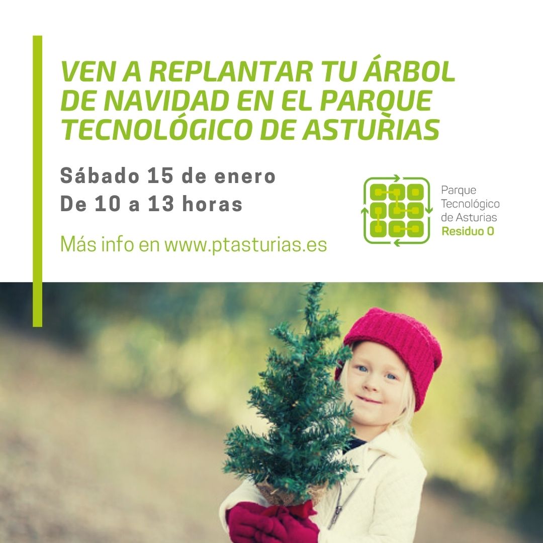 Ven a replantar tu árbol de navidad en el Parque Tecnológico de Asturias