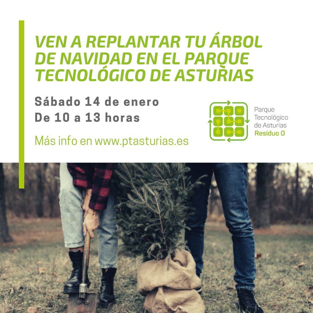 Ven a replantar tu árbol de navidad en el Parque Tecnológico de Asturias