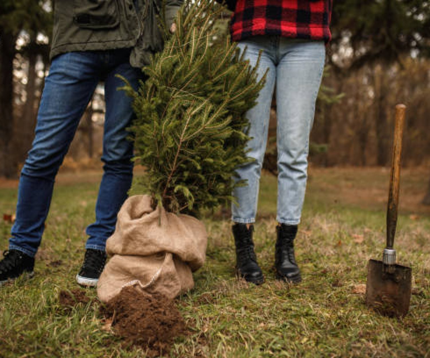 Reciclar y recuperar los árboles de Navidad en el PT Asturias